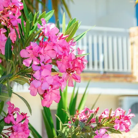 Villagio Laganas Apartment